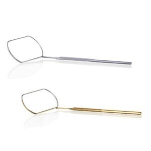 Lash Mirror