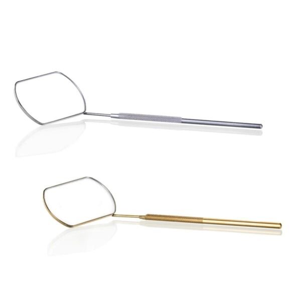 Lash Mirror